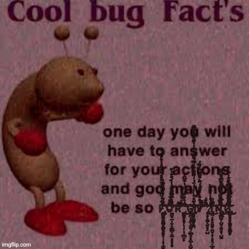 Cool bug facts | image tagged in cool bug facts | made w/ Imgflip meme maker