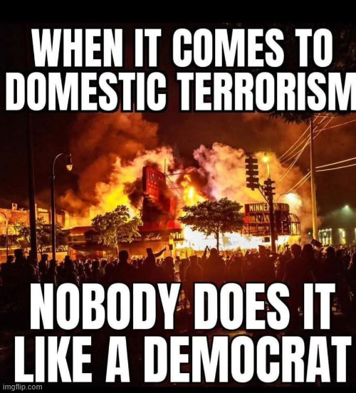 dems are the best domestic terrorists | image tagged in dems,best domestic terrorists | made w/ Imgflip meme maker