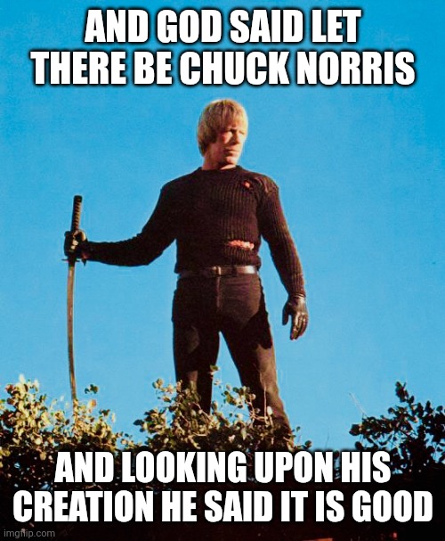 Chuck Norris Good | AND GOD SAID LET THERE BE CHUCK NORRIS; AND LOOKING UPON HIS CREATION HE SAID IT IS GOOD | image tagged in chuck norris samurai sword | made w/ Imgflip meme maker