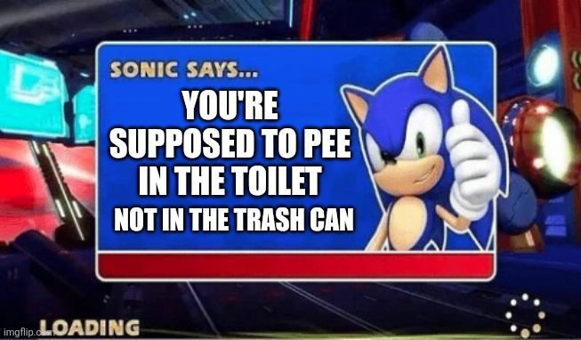 Sonic Says | YOU'RE SUPPOSED TO PEE IN THE TOILET; NOT IN THE TRASH CAN | image tagged in sonic says | made w/ Imgflip meme maker