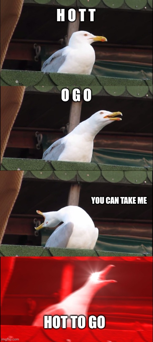 Inhaling Seagull | H O T T; O G O; YOU CAN TAKE ME; HOT TO GO | image tagged in memes,inhaling seagull,music | made w/ Imgflip meme maker