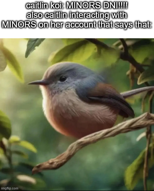 No balls | caitlin koi: MINORS DNI!!!!
also caitlin interacting with MINORS on her account that says that: | image tagged in no balls | made w/ Imgflip meme maker