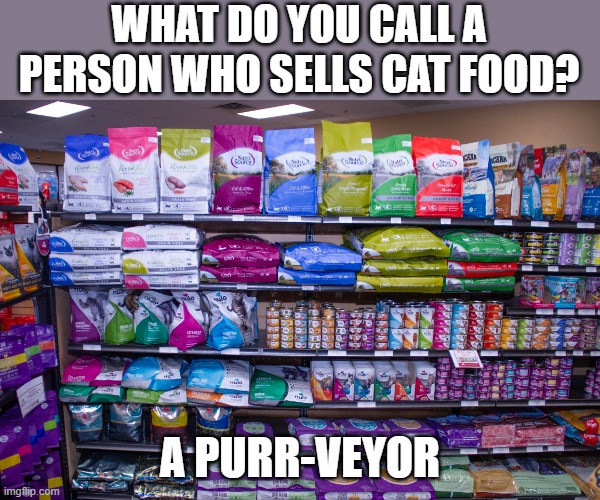 What do you call someone who sells cat foor? A purr-veyor. | WHAT DO YOU CALL A PERSON WHO SELLS CAT FOOD? A PURR-VEYOR | image tagged in funny,cats,cat food,humor,play on words | made w/ Imgflip meme maker
