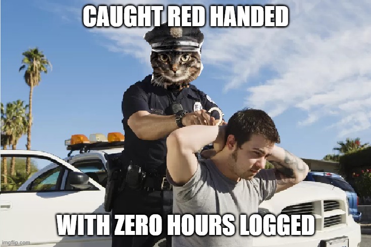 didnt submit cats timesheet | CAUGHT RED HANDED; WITH ZERO HOURS LOGGED | image tagged in busted,cats reminder,cats,timesheet reminder,timesheet | made w/ Imgflip meme maker
