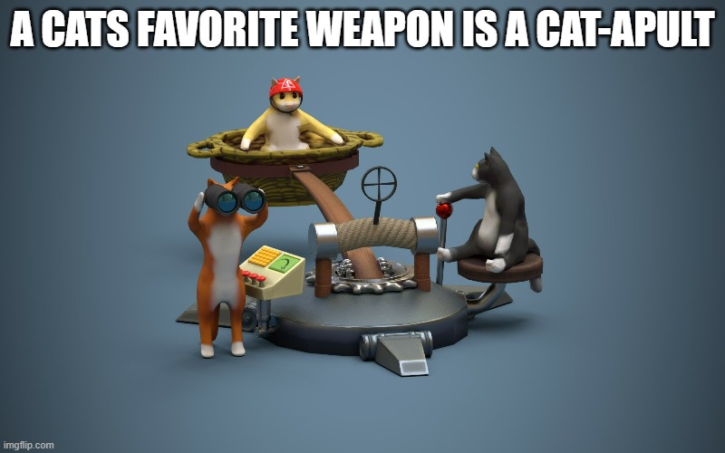 A cats favorite weapon is a cat-apult. | A CATS FAVORITE WEAPON IS A CAT-APULT | image tagged in cats,funny,kittens,play on words,humor,weapons | made w/ Imgflip meme maker