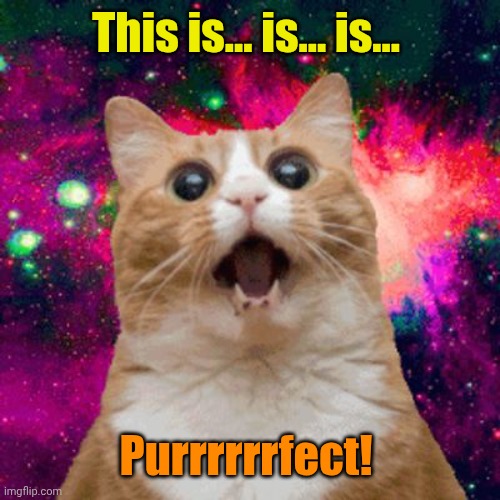 Kitties be trippin | This is... is... is... Purrrrrrfect! | image tagged in kitties be trippin | made w/ Imgflip meme maker