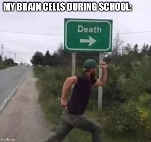 ah yes | MY BRAIN CELLS DURING SCHOOL: | image tagged in running to death | made w/ Imgflip meme maker