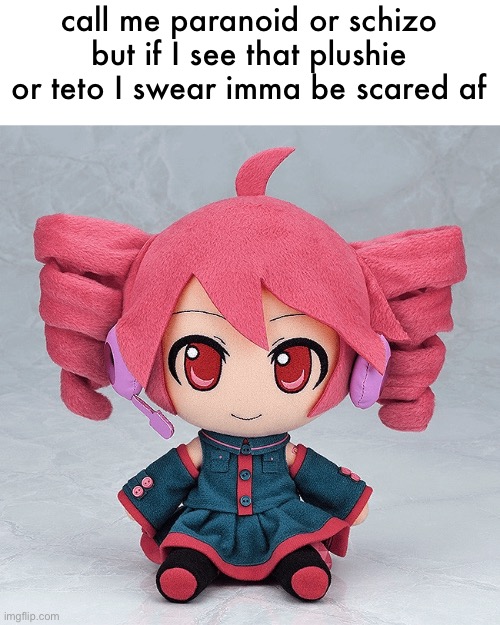 Teto | call me paranoid or schizo but if I see that plushie or teto I swear imma be scared af | image tagged in teto | made w/ Imgflip meme maker
