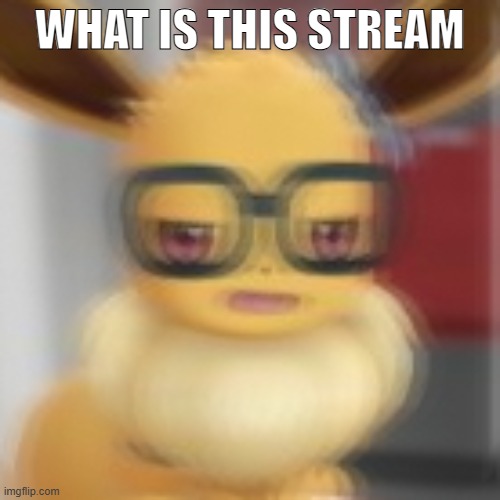 Eevee blur | WHAT IS THIS STREAM | image tagged in eevee blur | made w/ Imgflip meme maker