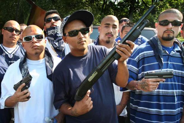 VÃ½sledok vyhÄ¾adÃ¡vania obrÃ¡zkov pre dopyt mexican gang