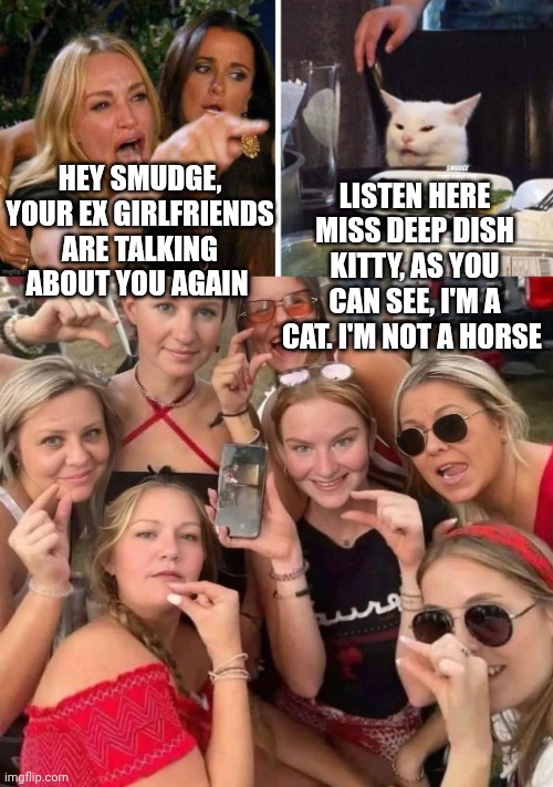 LISTEN HERE MISS DEEP DISH KITTY, AS YOU CAN SEE, I'M A CAT. I'M NOT A HORSE; HEY SMUDGE, YOUR EX GIRLFRIENDS ARE TALKING ABOUT YOU AGAIN | image tagged in smudge that darn cat with karen | made w/ Imgflip meme maker