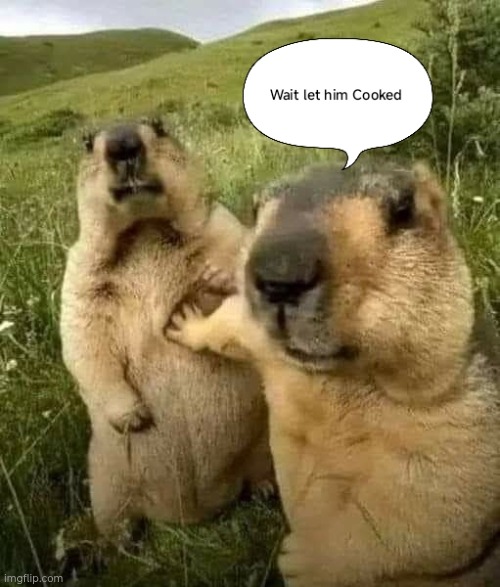 Cook k | image tagged in cooking | made w/ Imgflip meme maker