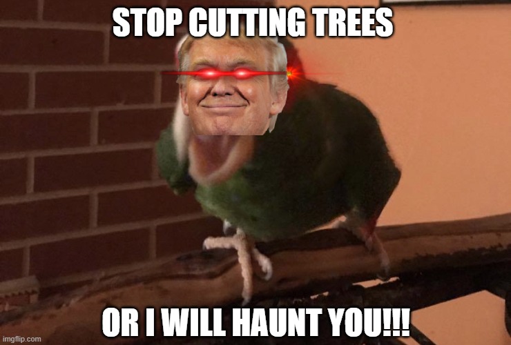 Cabbage has something to say to you | STOP CUTTING TREES; OR I WILL HAUNT YOU!!! | image tagged in cabbage has something to say to you | made w/ Imgflip meme maker