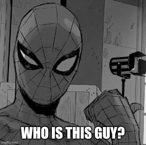 Spiderman Confused | WHO IS THIS GUY? | image tagged in who,is,this,guy,spiderman | made w/ Imgflip meme maker