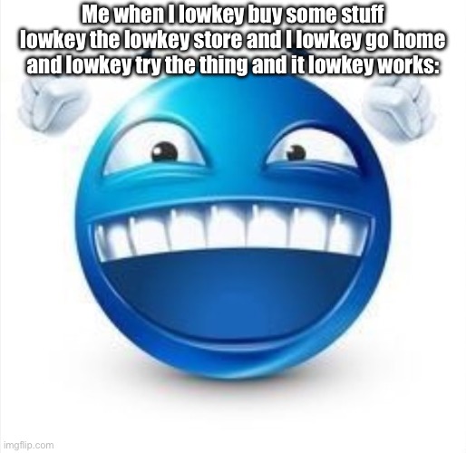Laughing Blue Guy | Me when I lowkey buy some stuff lowkey the lowkey store and I lowkey go home and lowkey try the thing and it lowkey works: | image tagged in laughing blue guy | made w/ Imgflip meme maker