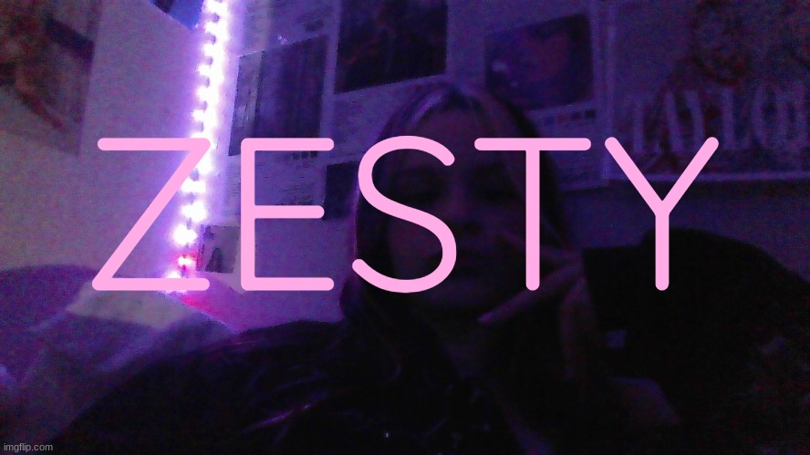 ZESTY | made w/ Imgflip meme maker