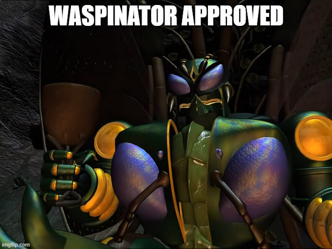 waspinator approved | WASPINATOR APPROVED | image tagged in transformers | made w/ Imgflip meme maker