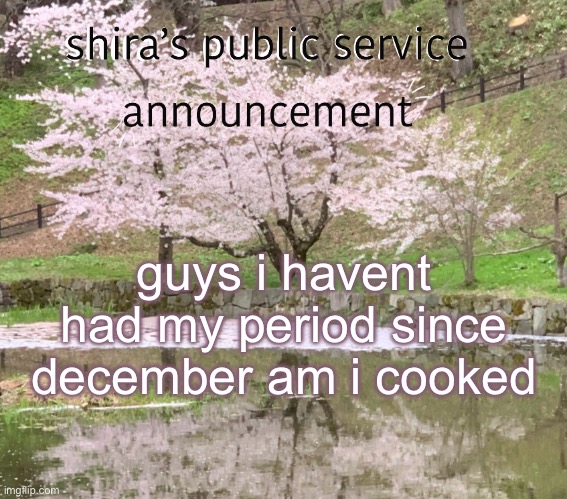 shira’s PSA | guys i havent had my period since december am i cooked | image tagged in shira s psa | made w/ Imgflip meme maker