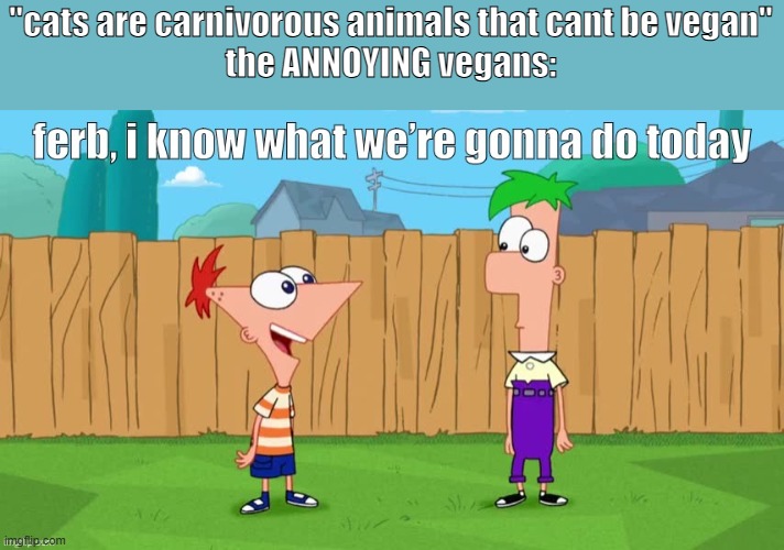 Ferb, i know what we’re gonna do today | "cats are carnivorous animals that cant be vegan"
the ANNOYING vegans: | image tagged in ferb i know what we re gonna do today | made w/ Imgflip meme maker