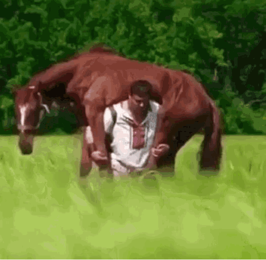 Man carry horse Blank Meme Template