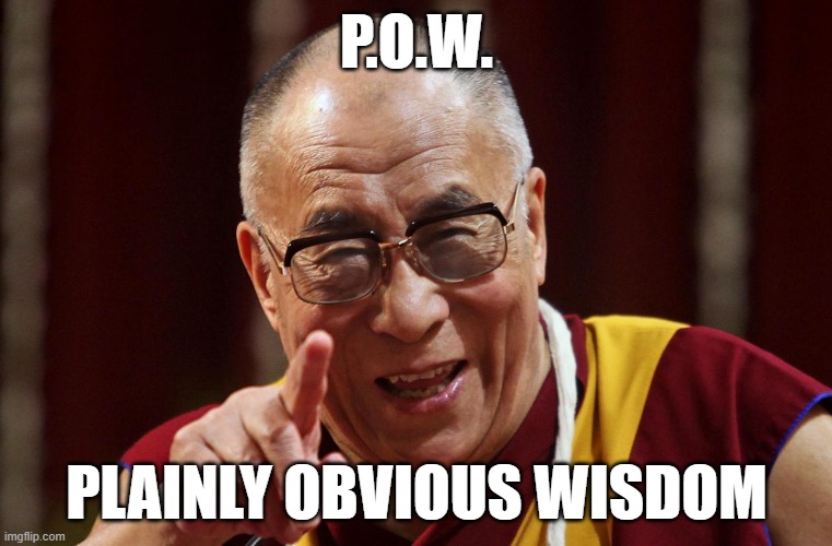 Plainly Obvious Wisdom | P.O.W. PLAINLY OBVIOUS WISDOM | image tagged in dali lama | made w/ Imgflip meme maker