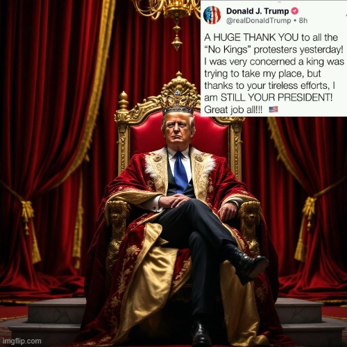 Thank you no kings protesters! | image tagged in thank you | made w/ Imgflip meme maker