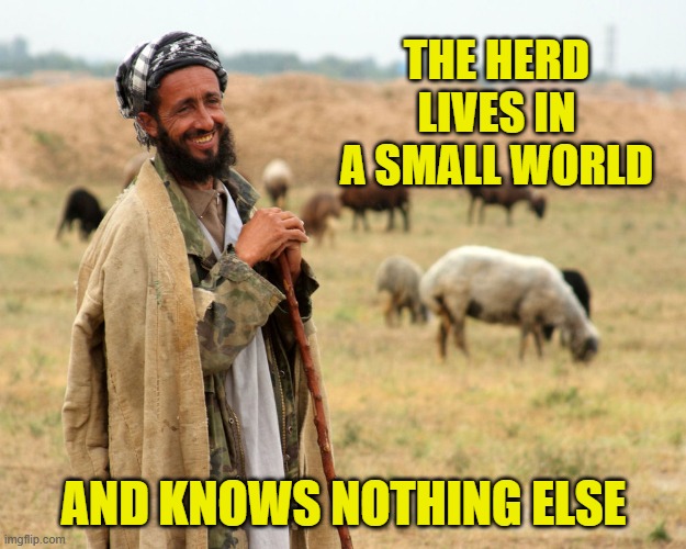 Shepard | THE HERD LIVES IN A SMALL WORLD AND KNOWS NOTHING ELSE | image tagged in shepard | made w/ Imgflip meme maker