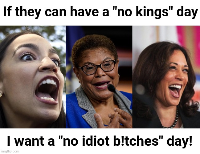 Fair is fair | If they can have a "no kings" day; I want a "no idiot b!tches" day! | image tagged in aoc,karen bass,cackling kamala harris,memes,democrats,idiots | made w/ Imgflip meme maker