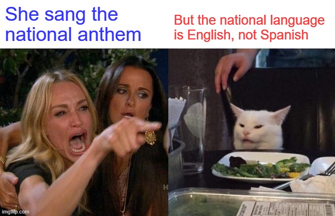 Woman Yelling At Cat Meme | She sang the national anthem; But the national language is English, not Spanish | image tagged in memes,woman yelling at cat | made w/ Imgflip meme maker