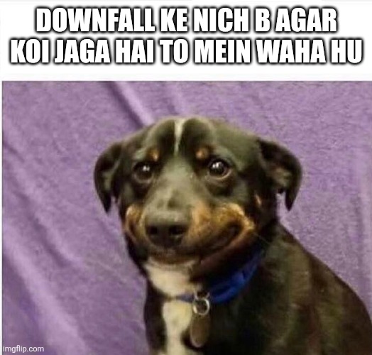 sad dog | DOWNFALL KE NICH B AGAR KOI JAGA HAI TO MEIN WAHA HU | image tagged in sad dog | made w/ Imgflip meme maker