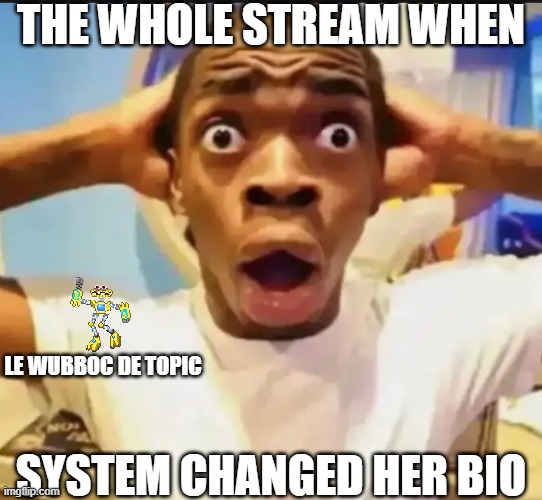 no offense | THE WHOLE STREAM WHEN; LE WUBBOC DE TOPIC; SYSTEM CHANGED HER BIO | image tagged in surprised black guy | made w/ Imgflip meme maker
