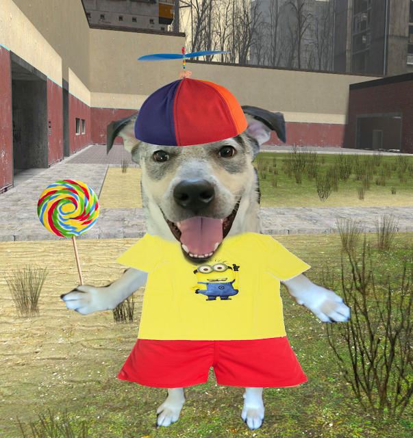 propeller hat dog Blank Meme Template