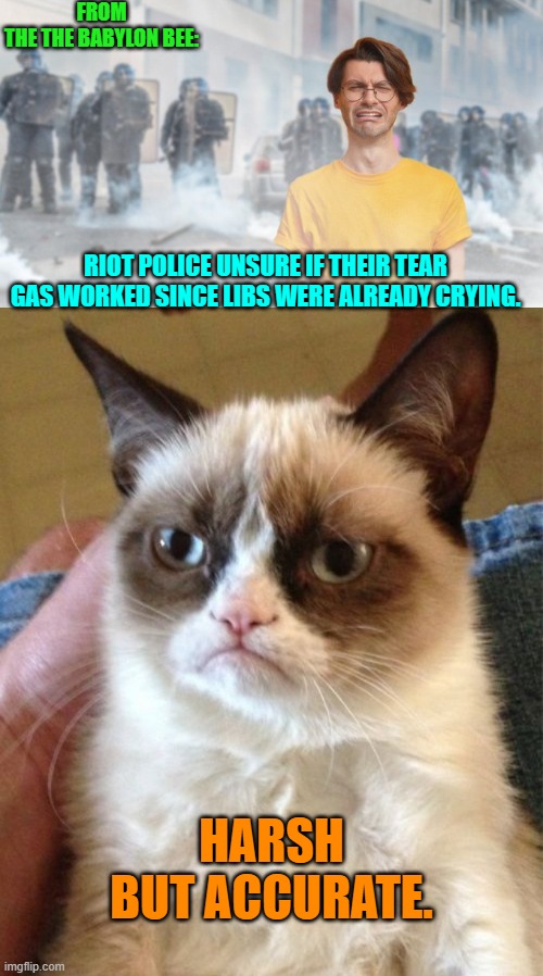 Reality as sane people know it. | FROM THE THE BABYLON BEE:; RIOT POLICE UNSURE IF THEIR TEAR GAS WORKED SINCE LIBS WERE ALREADY CRYING. HARSH BUT ACCURATE. | image tagged in grumpy cat | made w/ Imgflip meme maker