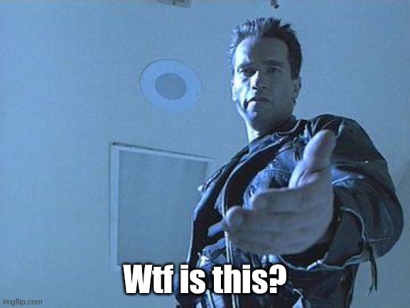 Terminator | Wtf is this? | image tagged in terminator | made w/ Imgflip meme maker