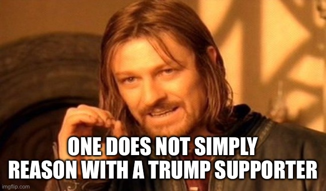 Can’t reason with Trumpers | ONE DOES NOT SIMPLY REASON WITH A TRUMP SUPPORTER | image tagged in memes,one does not simply | made w/ Imgflip meme maker