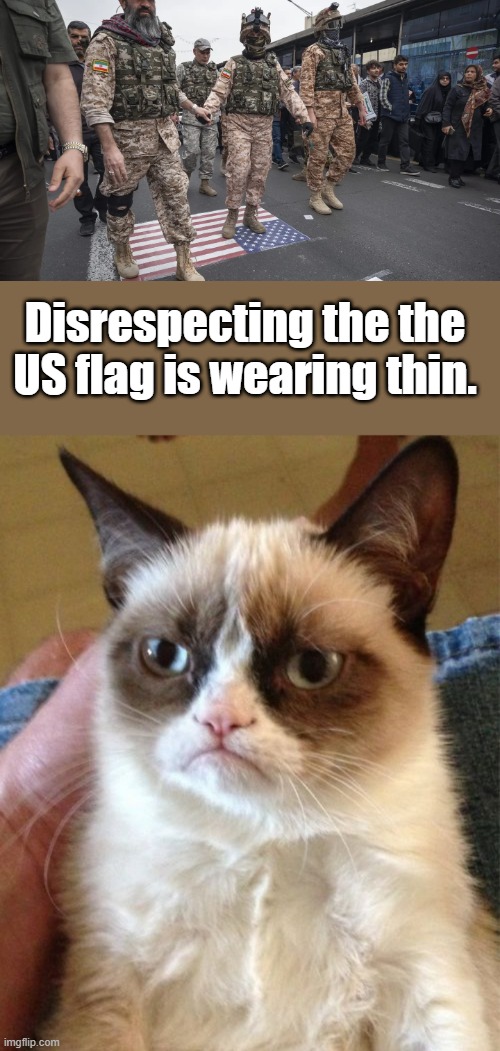 Disrespecting the the US flag is wearing thin. | image tagged in memes,grumpy cat | made w/ Imgflip meme maker