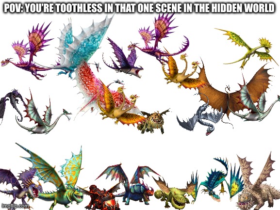 HTTYD is Absoulte Cinema (tm) | POV: YOU’RE TOOTHLESS IN THAT ONE SCENE IN THE HIDDEN WORLD | image tagged in httyd,blank white template,dragon | made w/ Imgflip meme maker