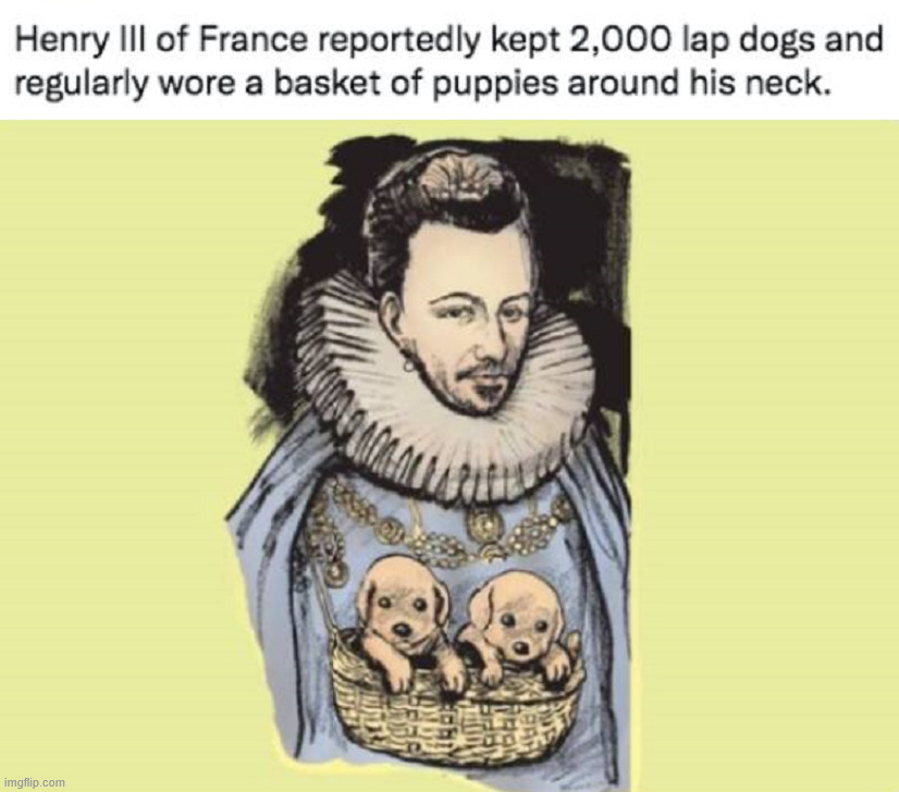 King wore puppies | image tagged in historical meme | made w/ Imgflip meme maker