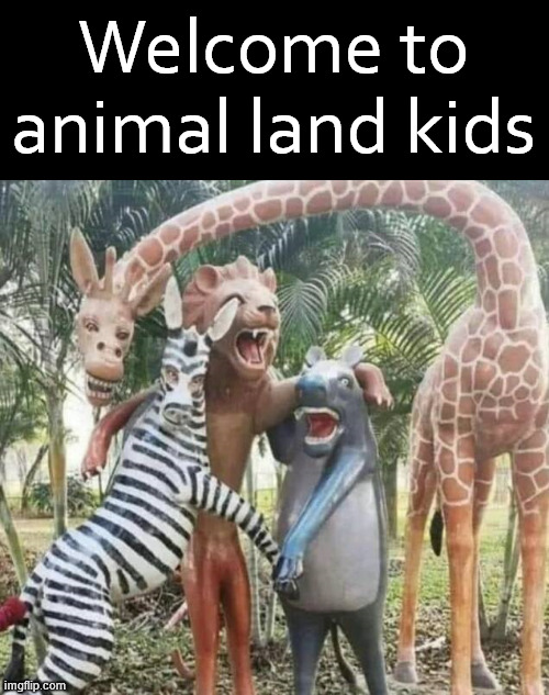 Creepy animals | Welcome to animal land kids | image tagged in cursed image | made w/ Imgflip meme maker