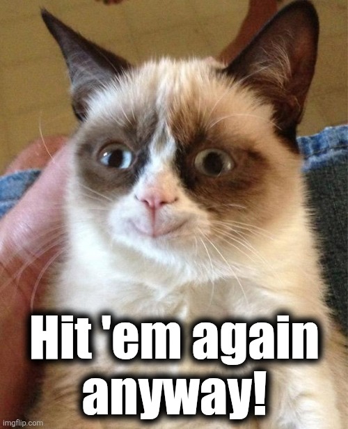 Grumpy Cat Happy Meme | Hit 'em again
anyway! | image tagged in memes,grumpy cat happy,grumpy cat | made w/ Imgflip meme maker