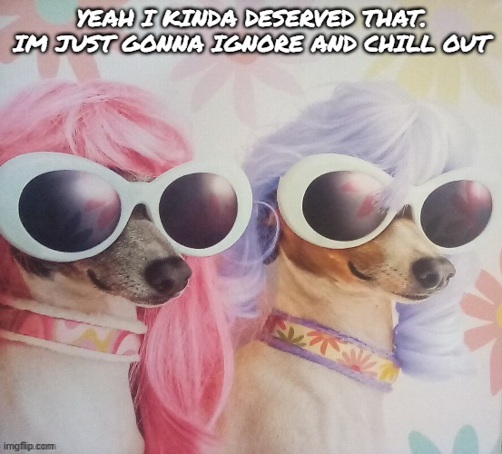 Groovy dawgs | YEAH I KINDA DESERVED THAT. IM JUST GONNA IGNORE AND CHILL OUT | image tagged in groovy dawgs | made w/ Imgflip meme maker