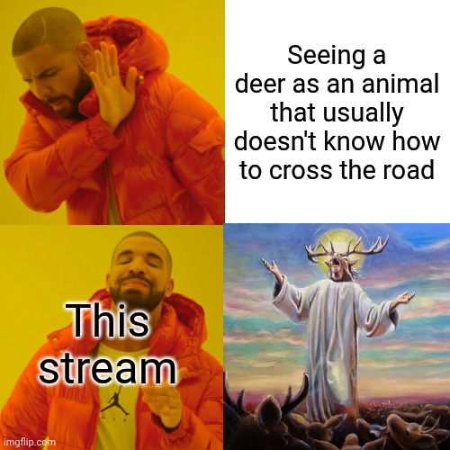 Drake Hotline Bling | Seeing a deer as an animal that usually doesn't know how to cross the road; This stream | image tagged in memes,drake hotline bling | made w/ Imgflip meme maker