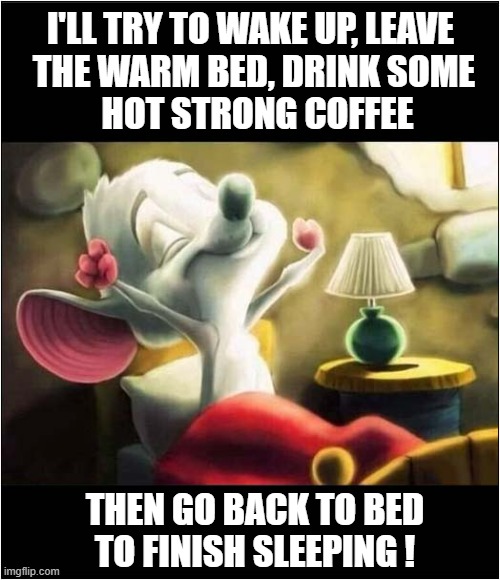 Retired Me On A Monday Morning ...  And Every Day with A 'Y' In It ! | I'LL TRY TO WAKE UP, LEAVE 
THE WARM BED, DRINK SOME
 HOT STRONG COFFEE; THEN GO BACK TO BED
TO FINISH SLEEPING ! | image tagged in mondays,life,bed | made w/ Imgflip meme maker