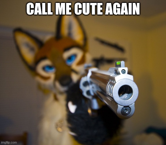 Furry with gun | CALL ME CUTE AGAIN | image tagged in furry with gun | made w/ Imgflip meme maker
