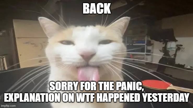 in comments (WELCOME BACK! I MISSED YOU! -Spinel) | BACK; SORRY FOR THE PANIC, EXPLANATION ON WTF HAPPENED YESTERDAY | image tagged in milly the silly cat bleh cat | made w/ Imgflip meme maker