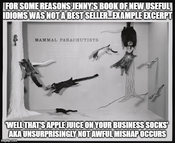 ... | FOR SOME REASONS JENNY'S BOOK OF NEW USEFUL IDIOMS WAS NOT A BEST SELLER...EXAMPLE EXCERPT; 'WELL THAT'S APPLE JUICE ON YOUR BUSINESS SOCKS' 
AKA UNSURPRISINGLY NOT AWFUL MISHAP OCCURS | image tagged in idiom of the day | made w/ Imgflip meme maker