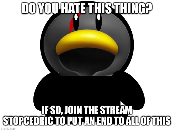 StopCedric | DO YOU HATE THIS THING? IF SO, JOIN THE STREAM STOPCEDRIC TO PUT AN END TO ALL OF THIS | image tagged in cedric the penguin,stopcedric | made w/ Imgflip meme maker