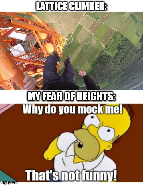 Climbing meme, my fear of heights. | LATTICE CLIMBER:; MY FEAR OF HEIGHTS: | image tagged in meme,the simpsons,lattice climbing,dark humor,radio tower,escalande | made w/ Imgflip meme maker