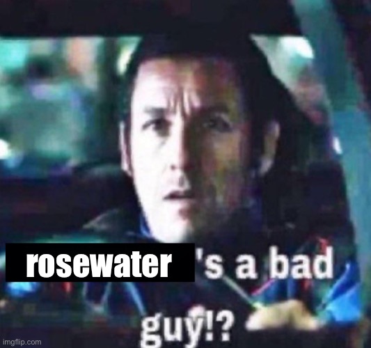 X is a bad guy!? | rosewater | image tagged in x is a bad guy | made w/ Imgflip meme maker
