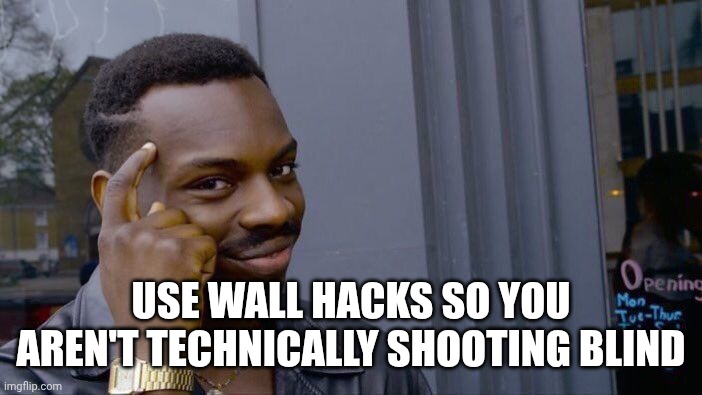 Roll Safe Think About It Meme | USE WALL HACKS SO YOU AREN'T TECHNICALLY SHOOTING BLIND | image tagged in memes,roll safe think about it | made w/ Imgflip meme maker